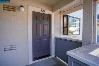 Photo #1: 41067922 Listing 