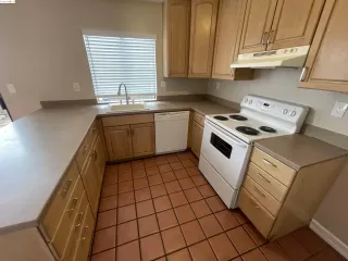 Photo #1: 41068056 Listing