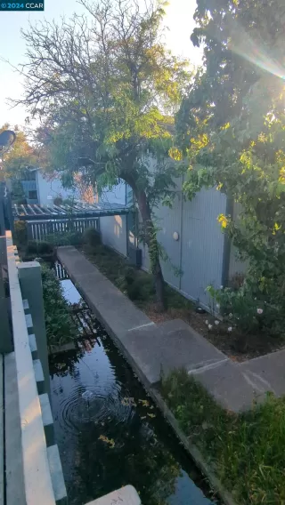 Photo #2: 41068057 Listing