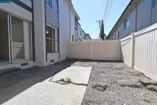 Photo #6: 41068162 Listing 