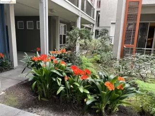 Photo #1: 41068257 Listing 