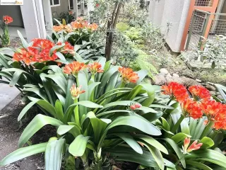 Photo #2: 41068257 Listing 