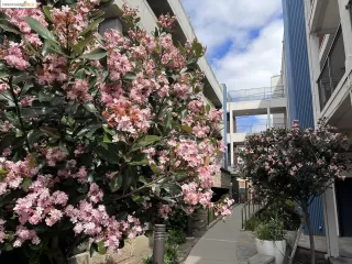 Photo #3: 41068257 Listing 