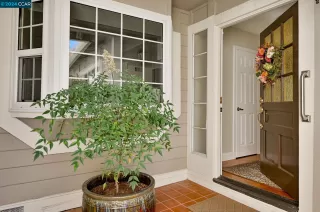 Photo #1: 41068281 Listing