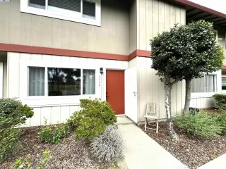 Photo #1: 41068369 Listing