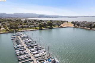 Photo #5: 41068576 Listing