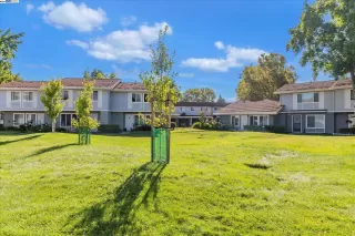 Photo #2: 41068654 Listing 