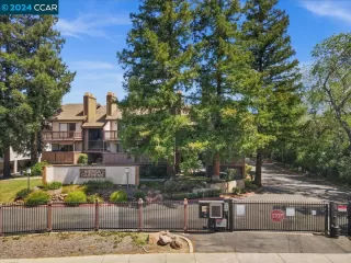 Photo #1: 41068717 Listing 