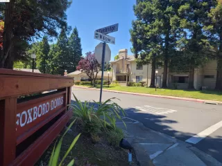 Photo #1: 41068739 Listing