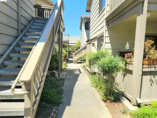 Photo #5: 41068739 Listing