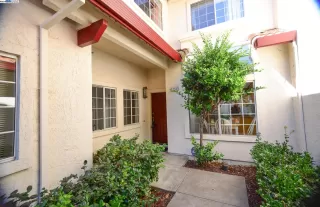 Photo #1: 41068762 Listing 