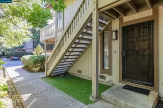 Photo #1: 41068773 Listing