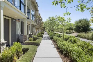 Photo #2: 41069175 Listing