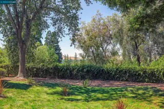 Photo #3: 41069377 Listing