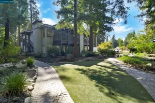 Photo #1: 41069505 Listing