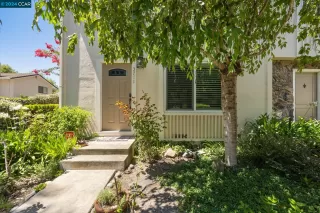 Photo #1: 41069554 Listing 