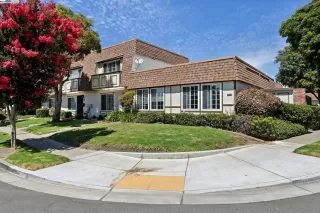 Photo #1: 41069694 Listing 