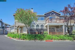 Photo #3: 41069846 Listing