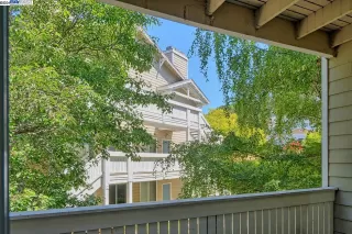 Photo #5: 41069855 Listing