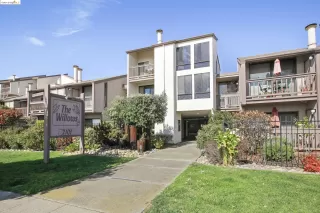 Photo #1: 41069979 Listing 