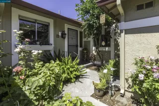 Photo #1: 41070040 Listing