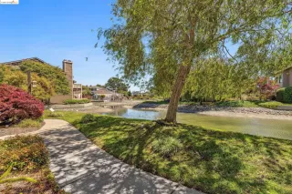 Photo #1: 41070060 Listing