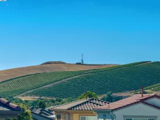 Photo #5: 41070227 Listing