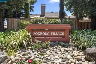 Photo #5: 41070475 Listing