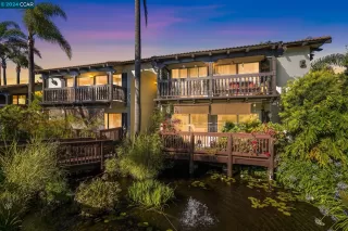 Photo #1: 41070556 Listing