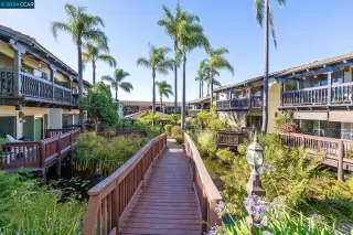 Photo #2: 41070556 Listing