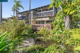 Photo #3: 41070556 Listing