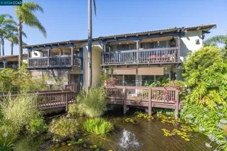 Photo #4: 41070556 Listing