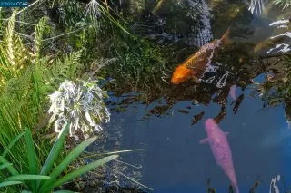 Photo #6: 41070556 Listing