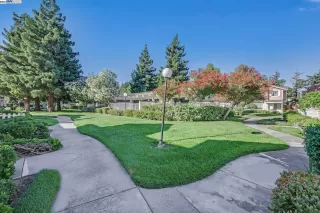 Photo #1: 41070616 Listing 