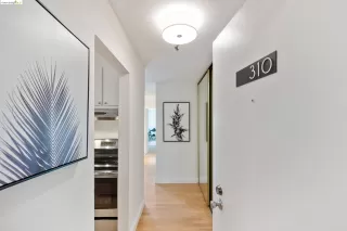 Photo #1: 41070720 Listing