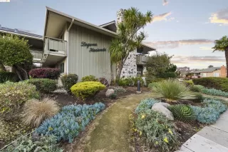 Photo #1: 41070770 Listing