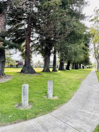 Photo #2: 41070925 Listing