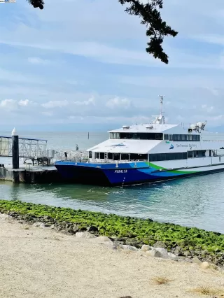 Photo #5: 41070925 Listing