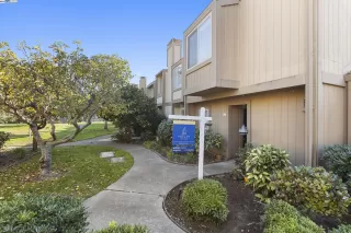 Photo #1: 41071690 Listing 