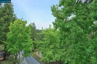 Photo #6: 41071715 Listing