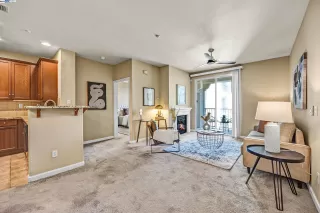 Photo #1: 41072032 Listing