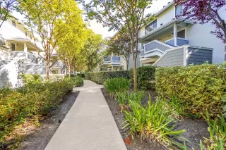 Photo #1: 41072051 Listing 