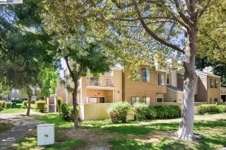 Photo #4: 41072300 Listing 