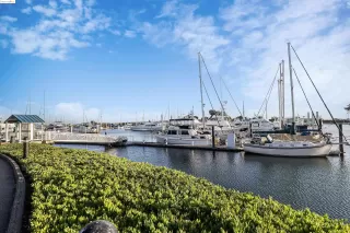 Photo #6: 41072624 Listing 