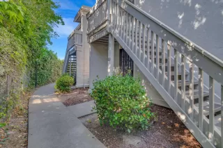 Photo #1: 41072817 Listing