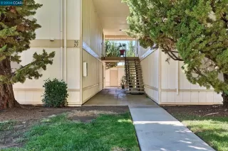 Photo #1: 41072873 Listing
