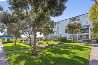 Photo #2: 41073228 Listing