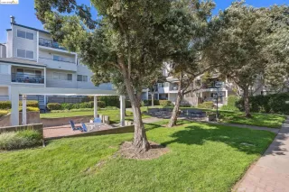 Photo #3: 41073228 Listing