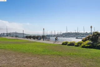 Photo #4: 41073228 Listing