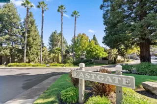 Photo #1: 41073290 Listing